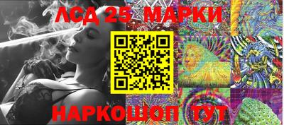Альфа ПВП Моздок